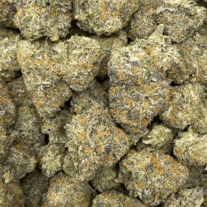 DOSIDOS DELUX (EXOTIC DEAL) - Image 2