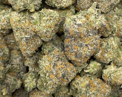 DOSIDOS DELUX (EXOTIC DEAL) - Image 2