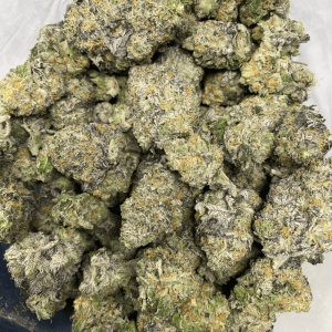 DINO ICE CREAM (EXOTIC) - Image 2