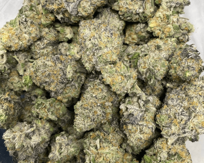 DINO ICE CREAM (EXOTIC) - Image 2