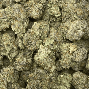 NIGHTCRAWLER PINK (MEGA GAS) - Image 3