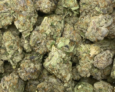 NIGHTCRAWLER PINK (MEGA GAS) - Image 3