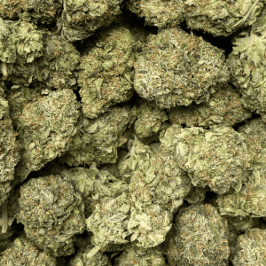 GREASY DEATH (GAS) - Image 2