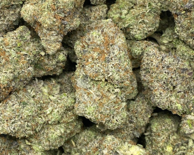 PINK GASOLINA