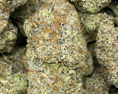 PINK GASOLINA (MEGA GAS) - Image 2