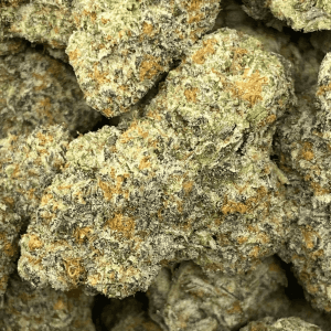 WIZARD PUNCH (EXOTIC) - Image 2