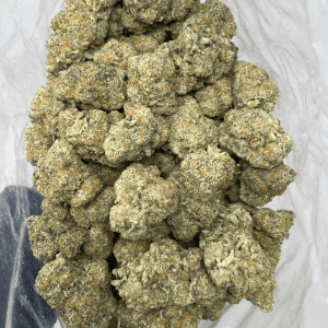 WIZARD PUNCH (EXOTIC) - Image 3