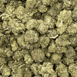 OBAMA RUNTZ (SMALLS) (EXOTIC) - Image 2