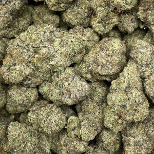 PINK SRT (MEGA GAS DEAL) - Image 3