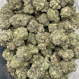 PINK TRUMP (MEGA GAS DEAL) - Image 3