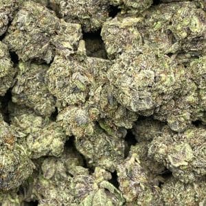 PINK TRUMP (MEGA GAS DEAL) - Image 2