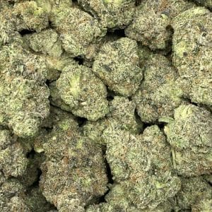 PINK ANNIHILATION (GAS) - Image 2