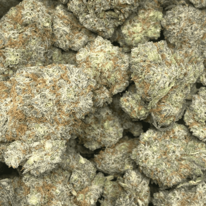 SUPER CHEESE (EXOTIC) - Image 2