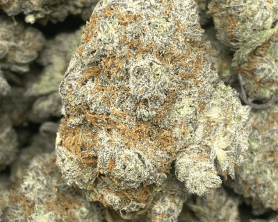 SUPER CHEESE (EXOTIC) - Image 1