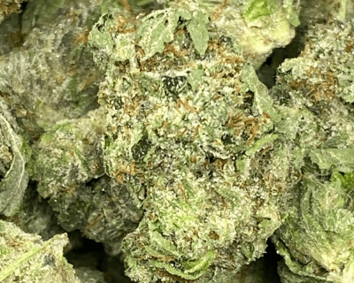 Abusive OG