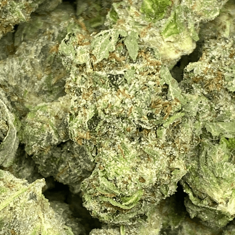 Abusive OG (2) Abusive OG