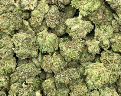 ABUSIVE OG (GAS) - Image 2