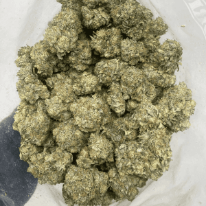 BLACK FIN TUNA (MEGA GAS) - Image 3