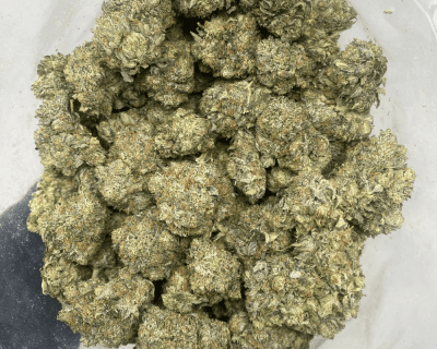 BLACK FIN TUNA (MEGA GAS) - Image 3