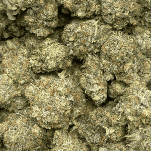 BLACK FIN TUNA (MEGA GAS) - Image 2