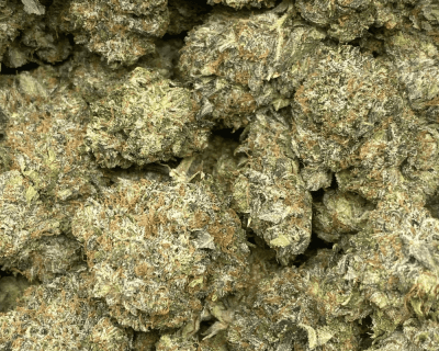 BLACK FIN TUNA (MEGA GAS) - Image 2