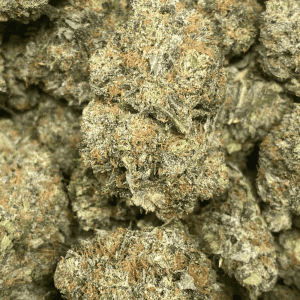 BLACK FIN TUNA (MEGA GAS) - Image 1