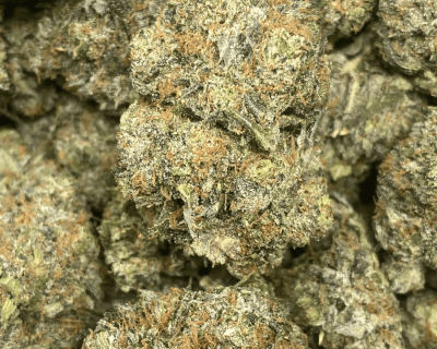 BLACK FIN TUNA (MEGA GAS) - Image 1