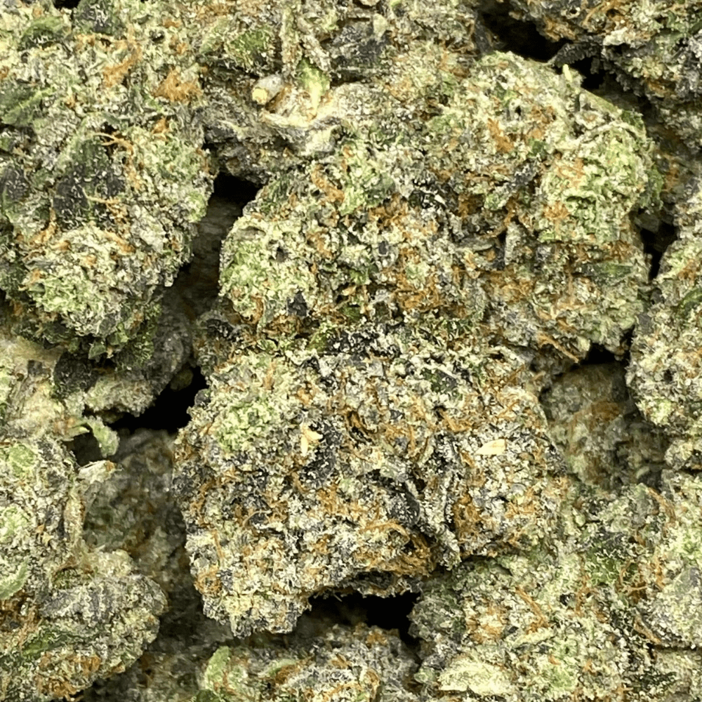 BLACKOUT BUBBA