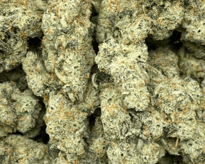 BANANA SUNDAE (LSO GEM DEAL) - Image 2
