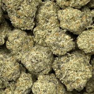 CHEESE & CRACKERS (EXOTIC) - Image 2