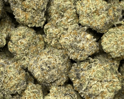 CHEESE & CRACKERS (EXOTIC) - Image 2
