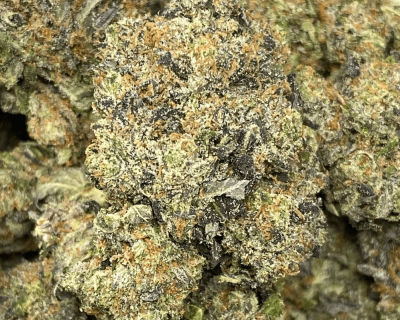 DEATH TUNA (MEGA GAS) - Image 1