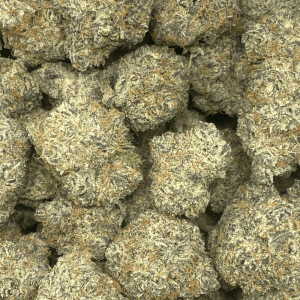 DIESEL BERRY (EXOTIC) - Image 2