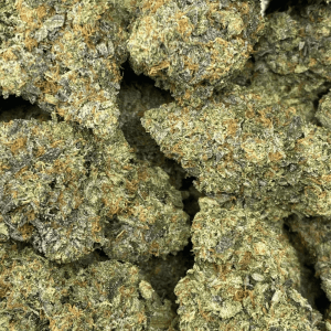 DEATH MACHINE (MEGA GAS DEAL) - Image 2