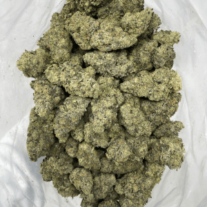 FIRST CLASS FUNK (EXOTIC) (HEAVY PIGEON) - Image 2