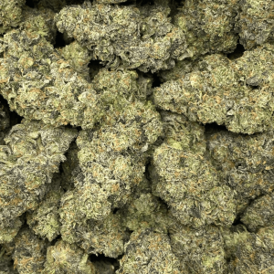 FIRST CLASS FUNK (EXOTIC) (HEAVY PIGEON) - Image 1