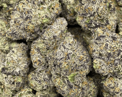 FRUITOPIA RUNTZ (EXOTIC) - Image 2