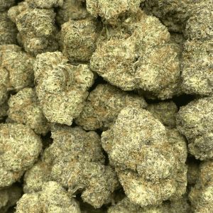 GASTRO POP (EXOTIC) - Image 2