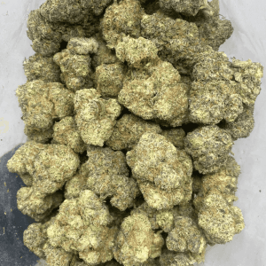 GASTRO POP (EXOTIC) - Image 3