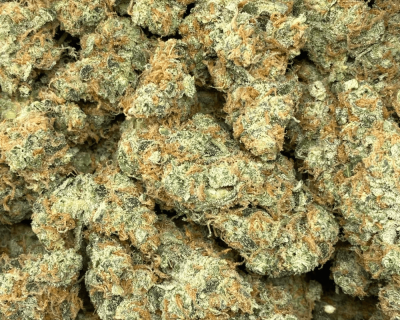 GARLIC JUICE (UNLICENSED PRODUCER) - Image 2