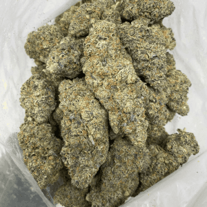 GELATO RUNTZ (EXOTIC) - Image 3