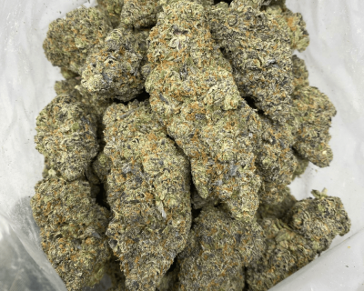 GELATO RUNTZ (EXOTIC) - Image 3