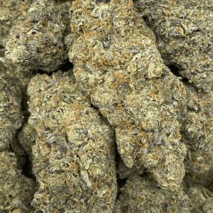GELATO RUNTZ (EXOTIC) - Image 2