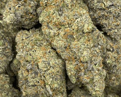 GELATO RUNTZ (EXOTIC) - Image 2