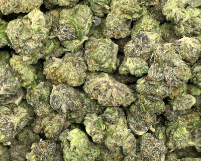 GOD'S BUBBA (GAS) - Image 2