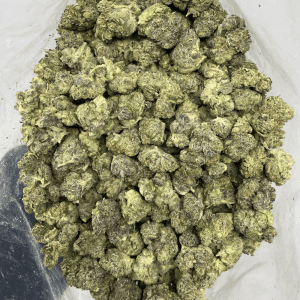 GOD'S BUBBA (GAS) - Image 3