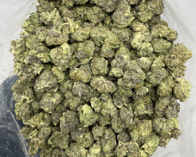 GOD'S BUBBA (GAS) - Image 3