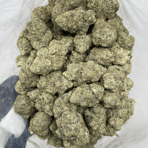 GODZILLA DEATH BOMB LSO (EXTREME GAS) - Image 3