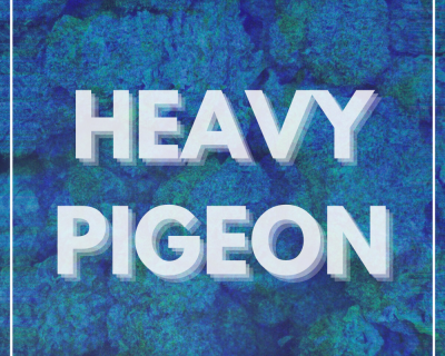 Heavy Pigeon