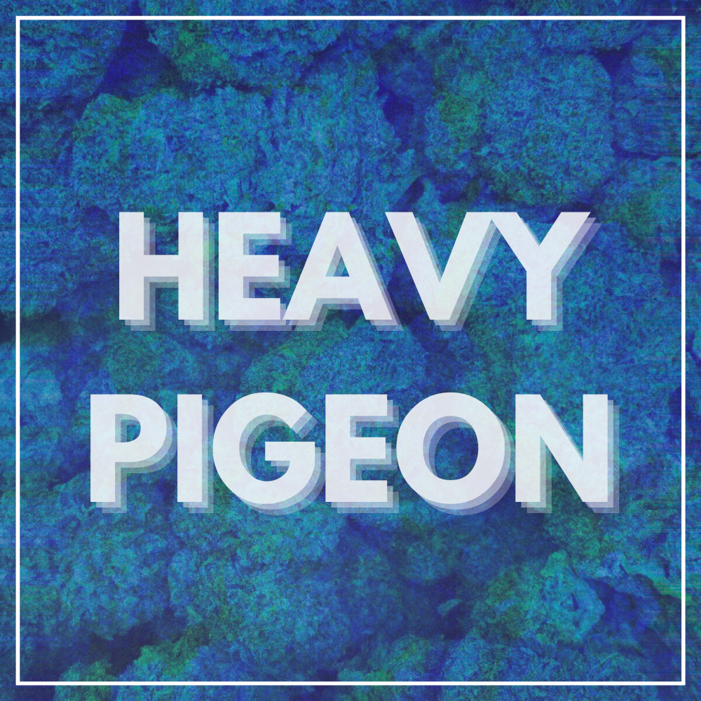 Heavy Pigeon